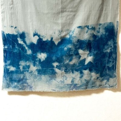 画像2: 日影の戯れI－cyanotype－