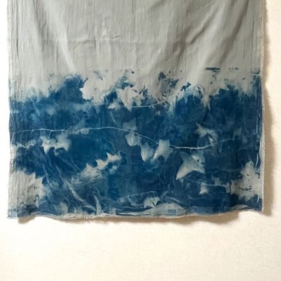 画像2: 日影の戯れII－cyanotype－