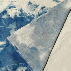 画像3: 日影の戯れII－cyanotype－ (3)